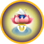 APY logo